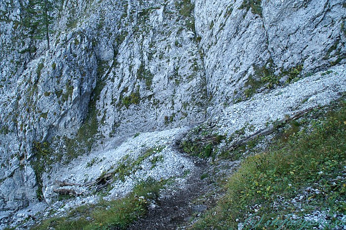 Barenlochsteig. V strmej časti sa chodník rozdeľoval - rovno hore viedol klettersteig Wildfahrte. Klettersteig Barenlochsteig pokračoval doľava dolu pod stenu a po hrane až do ľavého dolného rohu.