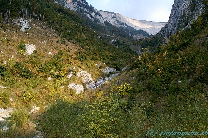 Lohmgraben. Dolina pod Lohmsteinom (kopce vpravo). V pozadí náhorná planina Schneealpe (aj vľavo)