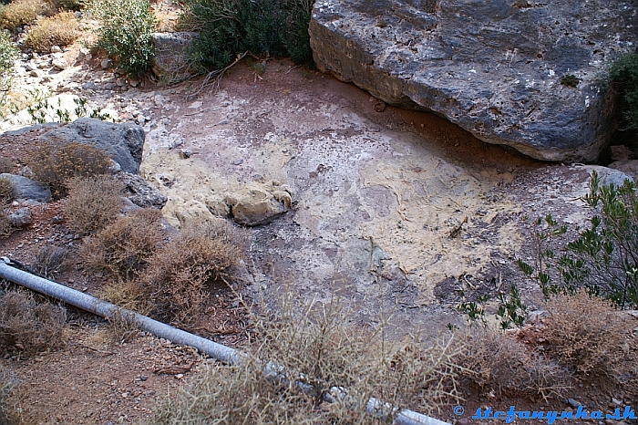 Vyschlé časti potoka v Deads gorge boli pokryté takýmto vysušeným žaburincom