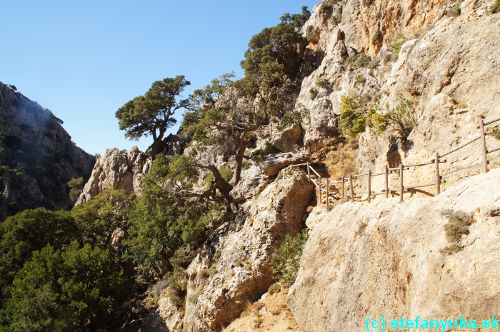 Platania gorge, Kréta, Stefanynka - kuk späť na vyhliadku (na zubatej skale vľavo pod stromom)