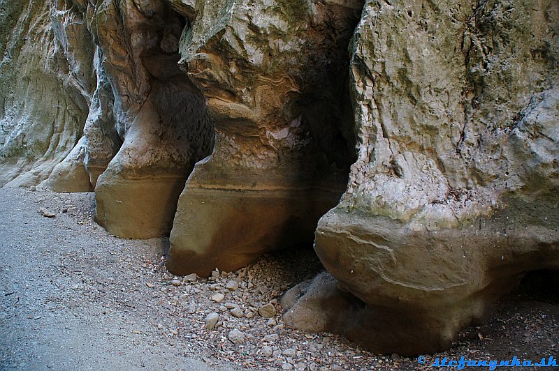 Patsos gorge (Agios Antonios), Kréta. Pozostatky skalného dinosaura