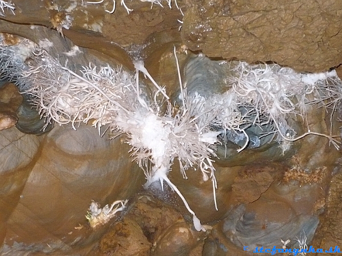 Ochtinská aragonitová jaskyňa (2007). Vianočná výzdoba stropu