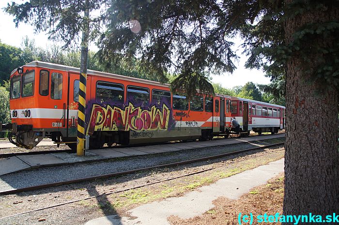 Slovenský pomaľovaný vlak vo Vrbovciach