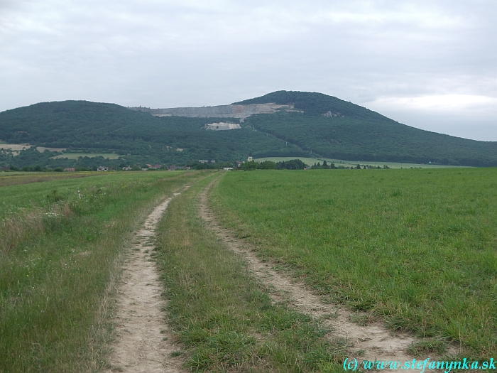Poľná cesta do obce Žirany. Vpravo hore je Žibrica. Žaby, žubrienky ani žáchodový papier som nevidel
