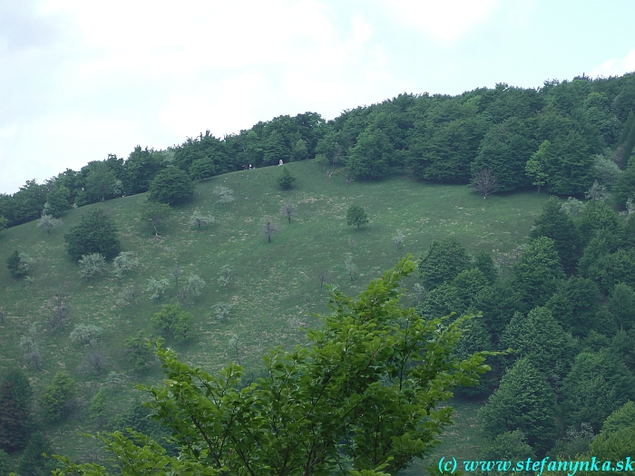 Vyhliadka z predchádzajúceho obrázka. To malé biele nad stromom je pamätník Štúrovi a Dubčekovi. To ešte menšie vľavo je opekajúca štvorica.