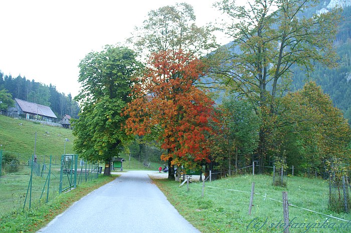 Spätný pohľad k Hinternasswaldu. Za červeným stromom je parkovisko
