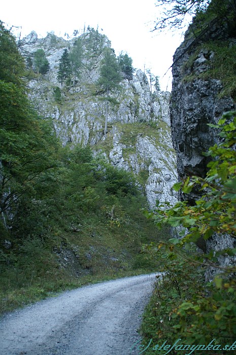Poľná cesta v doline Reisstalklamm, približne 15 minút od Hinternasswaldu