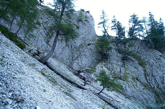 Barenlochsteig - pod nástupom. Cez suťové pole takmer do stredu obrázka (mierne vľavo), kde začínala spoločná časť pre feraty (klettersteigy) Barenlochsteig a Wildfahrte. Odtiaľ nezaisteným ľahkým terénom do výrazného sedielka medzi skalu a strom