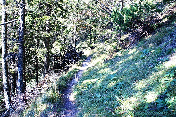 Gamsecksteig - dolná časť viedla lesom k poslednému suťovisku a k sedlu Grab-Sattel (Gupf-sattel)