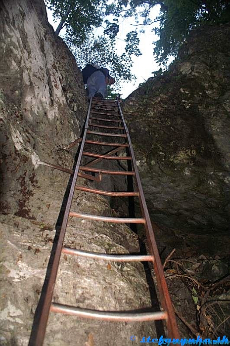 Weichtalklamm - prekonávanie skalného prahu za pomoci rebríka