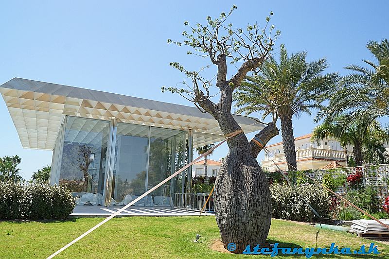 Protaras - to bol asi nejaký svadobný salón. Strom možno Baobab?