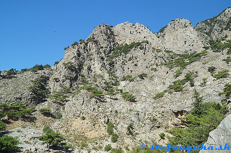 Rouvas gorge. Vpravo dolu je vľavo vedľa stromu trochu vidieť previs. Chodník pokračoval až k nemu, popod prechádzal ďalej doľava a oblúkom sa dostával nad previs