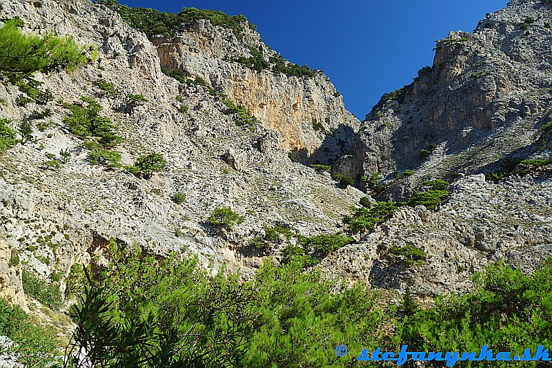 Rouvas gorge. V ľavej časti fotky za stromom je náznak previsu. Ponad vedie po svahu chodník