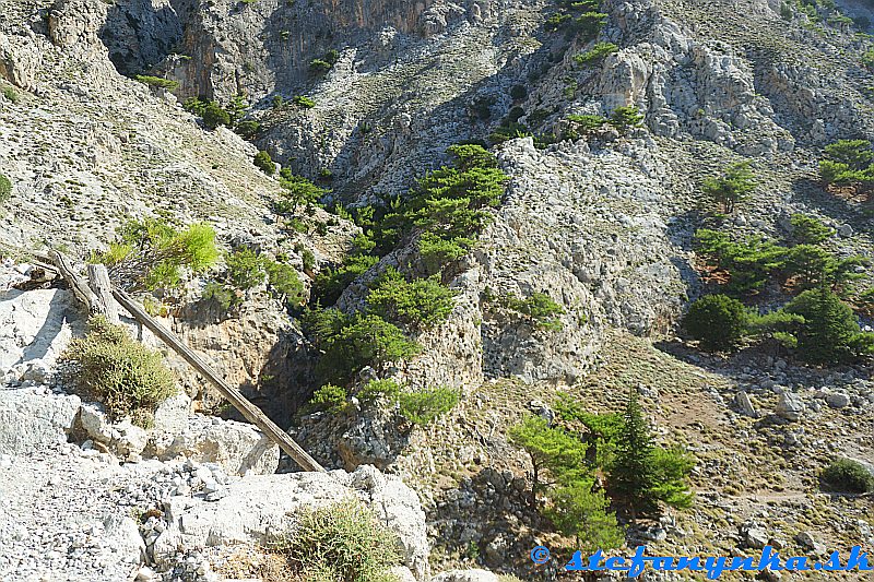 Rouvas gorge. Chodník od jazera vedie sprava cez skupinu stromov na spodnom okraji k previsu, ktorý je dolu za tým brvnom zo zábradlia