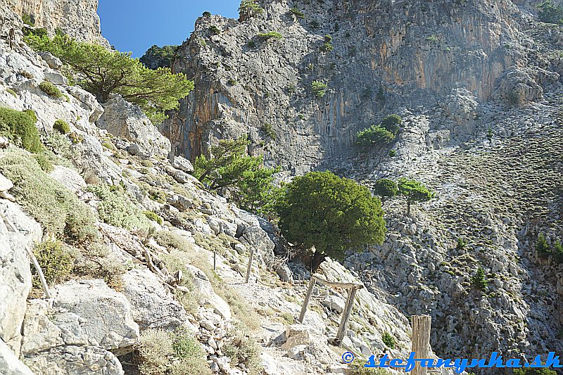 Rouvas gorge. Nad previsom