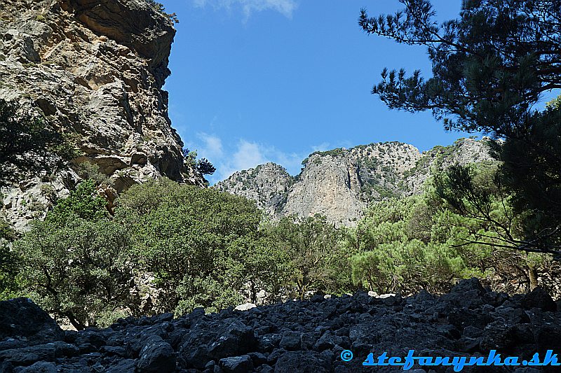 Rouvas gorge