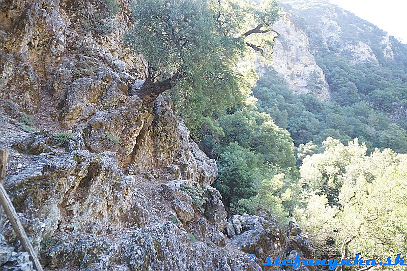 Rouvas gorge. Horná časť