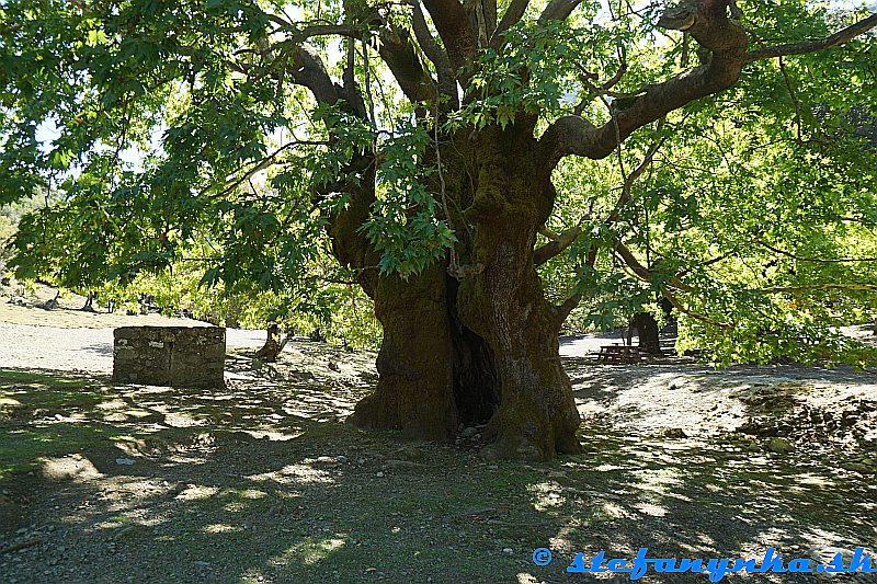 Agios Ioanis Rouva