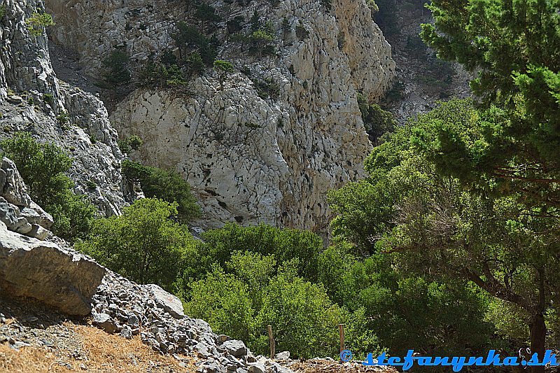 Rouvas gorge - horná časť rokliny