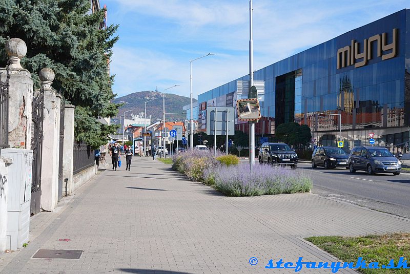 Nitra