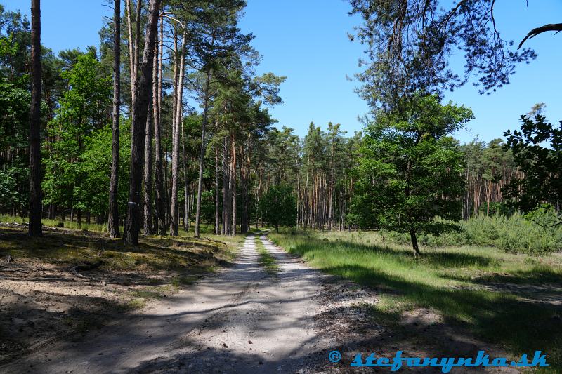 Lakšárska Nová Ves Lakšárska Nová Ves