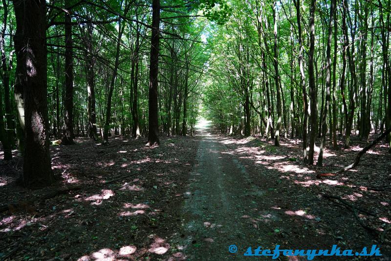 Nad Kotliarkou