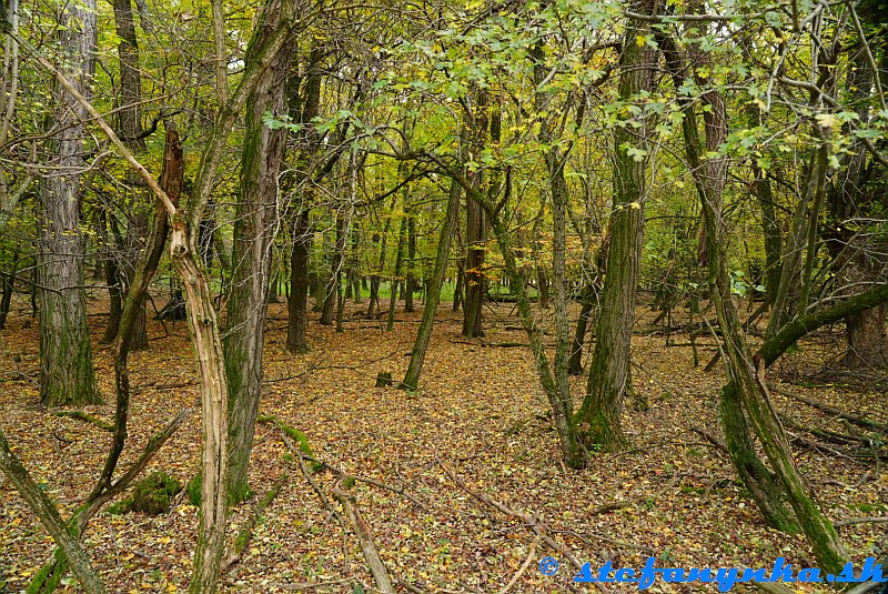 Biofarma príroda Biofarma príroda