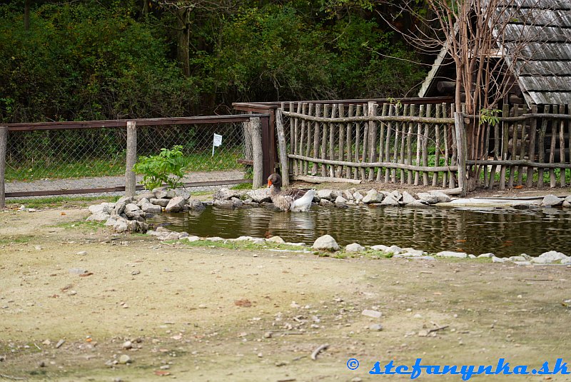 Biofarma príroda Biofarma príroda