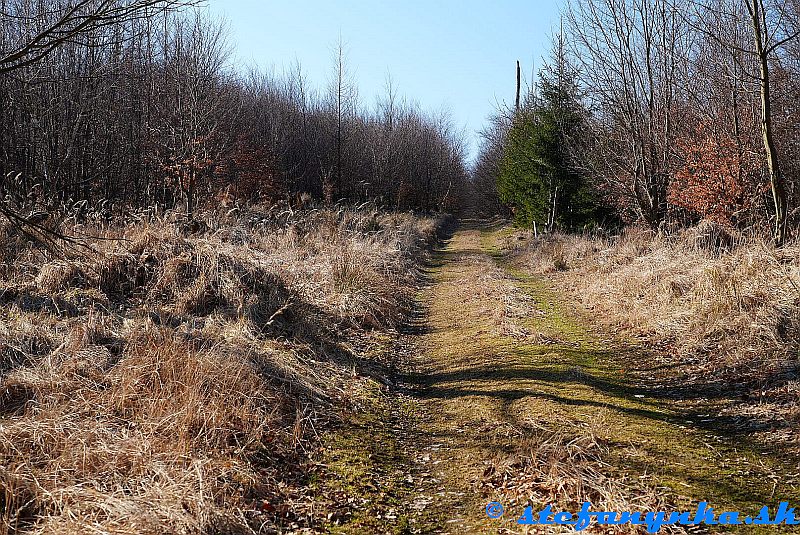 Nad Salašom Nad Salašom