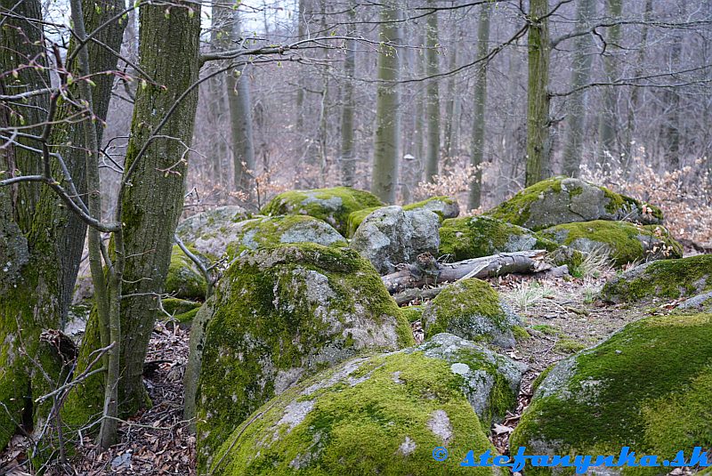 Machové skaly pod Dielikmi