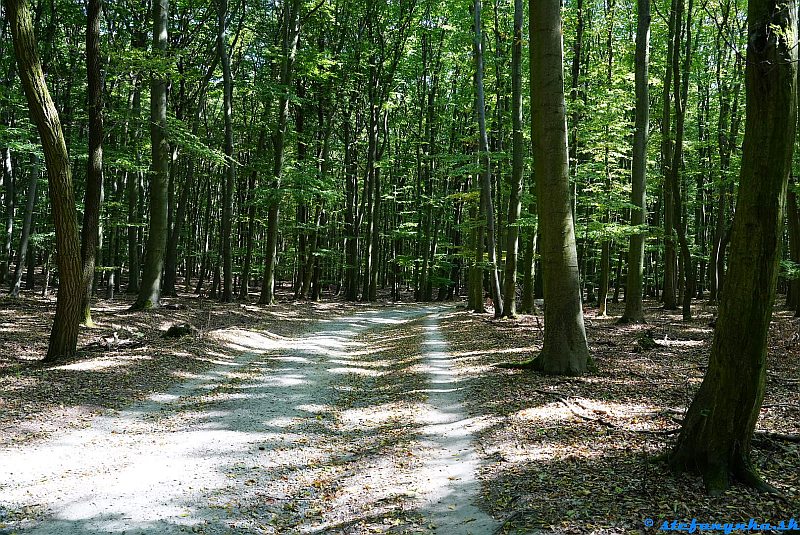Z Marianky na Kačín Z Marianky na Kačín
