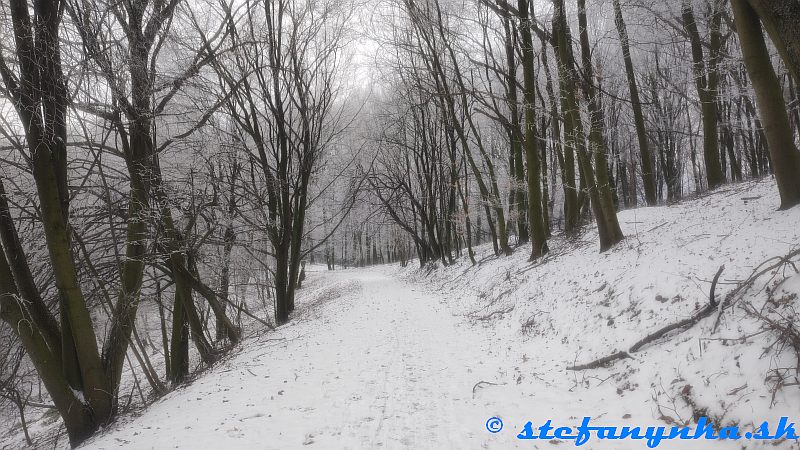 Zo Železnej studničky cez Šmachy na Kačín