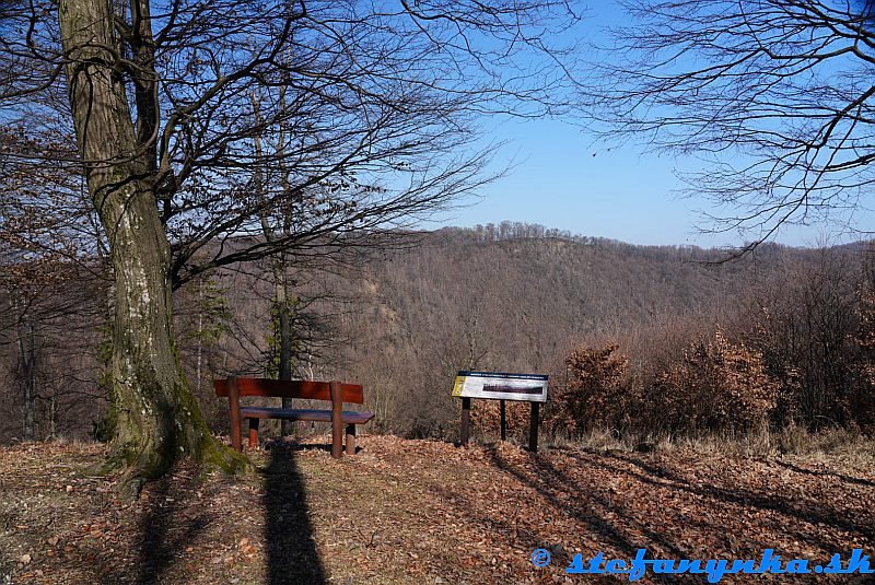 Pernek, Výhľad na Pleš