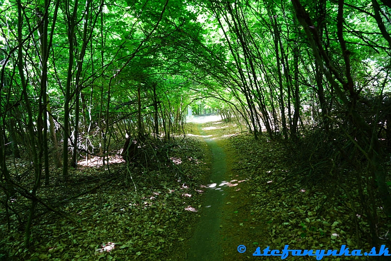 Žilová Žilová