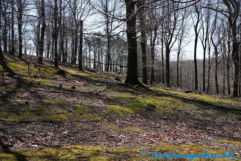 Jelení vrch